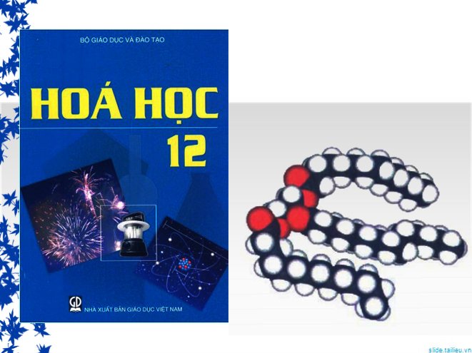 Khối 12 - Kiến thức trọng tâm